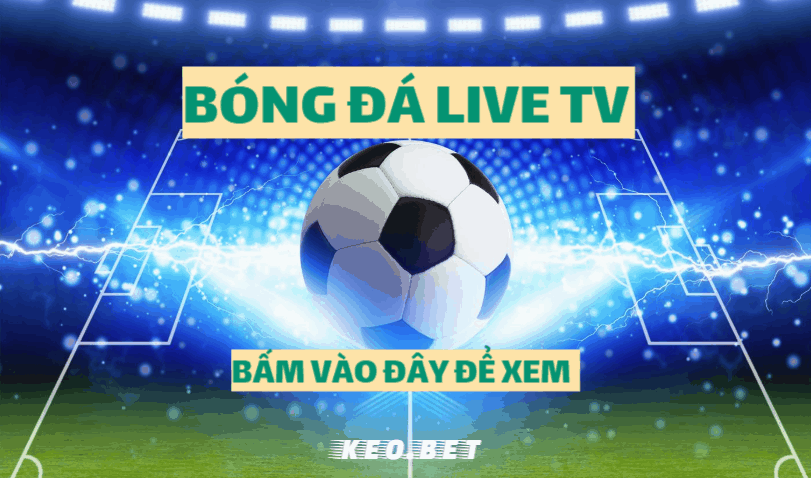 Bongdalive tv trực tiếp xem bóng đá live hd