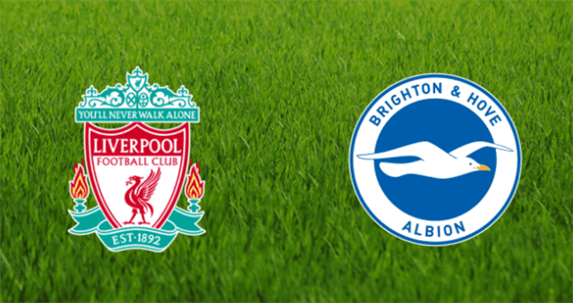Soi kèo nhà cái Liverpool vs Brighton 30/11/2019 - Ngoại Hạng Anh - Nhận định