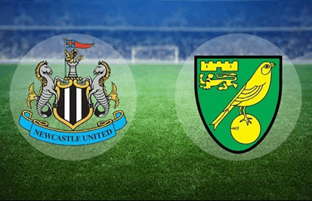 Soi kèo nhà cái Newcastle vs Norwich 1/2/2020 – Ngoại Hạng Anh - Nhận định